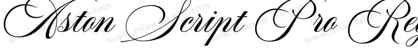 Aston Script Pro Reg字体转换